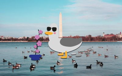30 CURIOSIDADES SOBRE ESTADOS UNIDOS